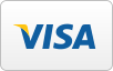 visa's logo on a white background